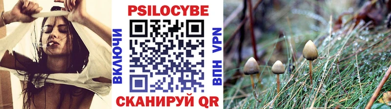 Псилоцибиновые грибы мухоморы  наркотики  Котельники 